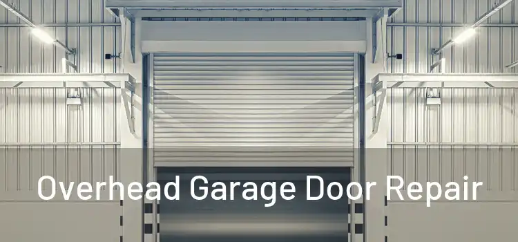  Overhead Garage Door Repair 